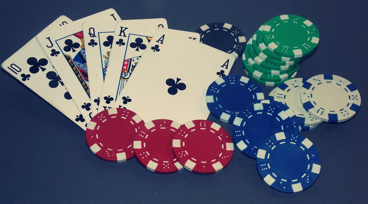 1win casino Match-by-Match Betting